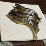 かたつむり - 郡上の鮎