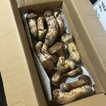 かたつむり - 松茸