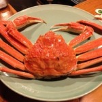 かにや - ズワイガニ