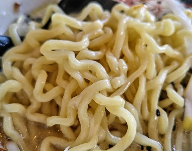 ラーメン 浜ねっこ - くりこま高原（ラーメン）の写真