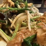 鉄板中華・担々麺 究 Kiwa - 