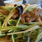 鉄板中華・担々麺 究 Kiwa - 