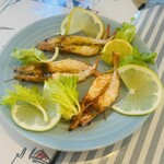 サルデーニャ料理とワイン greco - 