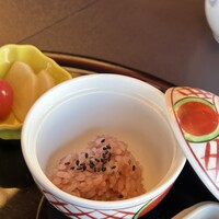 山茶花 - 