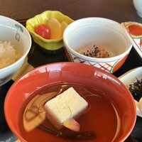 山茶花 - 