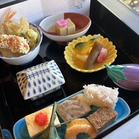山茶花 - 