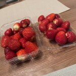 Strawberry Farm No.15 - 料理写真: