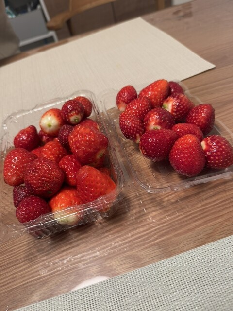 Strawberry Farm No.15 （ストロベリー ファーム ナンバー15