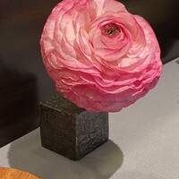 リストランテ・ホンダ - 
