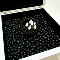 タカヤマ - 