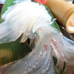 梅乃葉 - (第1回）活いか定食のイカ