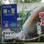 梅乃葉 - (第1回）お店前の看板