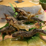 Shiorian Yamashiro - 鮎の塩焼き