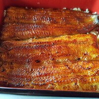 鰻割烹 伊豆栄 本店 - 