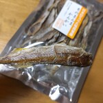 光る海 - そのまんまかんかい
