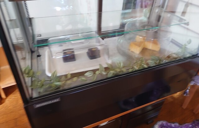 サロン・キクチ - 八木山動物公園（カフェ）の写真