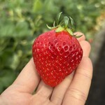 姫路ハートフル観光農園 - 