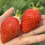 姫路ハートフル観光農園 - 