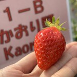 姫路ハートフル観光農園 - 