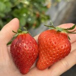 姫路ハートフル観光農園 - 