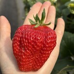 姫路ハートフル観光農園 - 