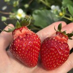 姫路ハートフル観光農園 - 