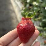 姫路ハートフル観光農園 - 