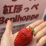 姫路ハートフル観光農園 - 