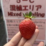 姫路ハートフル観光農園 - 