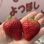 姫路ハートフル観光農園 - 