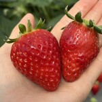 姫路ハートフル観光農園 - 