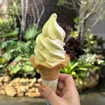 とっとり花回廊 ソフトクリーム売店（フラワードーム） - 料理写真:ソフトクリ〜ムは、ヤッパ〜マン、MIXでしょ(^^)v