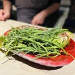 Simples - エルバステラ