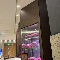 ニュー松坂 新宿店 - 