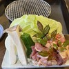 地鶏庵城の平 - 料理写真: