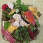 リストランテ ヴォナ フォルトゥーナ - ＜2014年6月＞本日の特製前菜と自家栽培の無農薬野菜たっぷりのサラダ　バーニャカウダソース