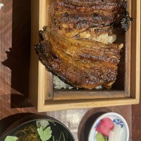 にょろ助 銀座 - 