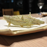 和食日和 おさけと 日本橋三越前 - 