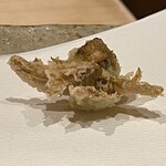 ぬま田 - 【 ふきのとう 】