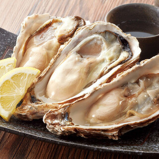 고기 초밥 무한리필!