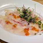 オステリアオオサキ - 