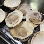 浜焼活貝 いさむ - 白ハマグリ