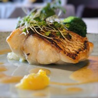 Wattle Tokyo - 