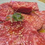 やきにく 燈火園 - 