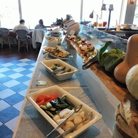 CODA ROSSA -  CODA ROSSA -