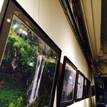 Art For Thought - 写真や絵画などの個展が定期的に開かれます