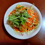 DURGA - そこそこの量があって嬉しいサラダ、謎ドレも美味しいです