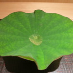 神保町 傳 - 26年6月　蛙になった気分