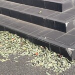 南房総 やまと寿司 - 何日か前の強風の名残があちこちに