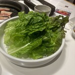 ぴょんぴょん舎 - サンチュ